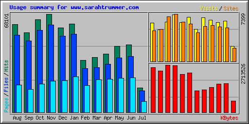 Usage summary for www.sarahtrummer.com